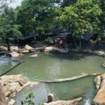 Dã ngoại “tới bến” trong rừng SUỐI ĐÁ – SUỐI TIÊN Vũng Tàu – Cộng đồng review uy tín Vũng Tàu, Địa điểm ăn chơi du lịch tại Bà Rịa Vũng Tàu