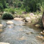 Suối Đá Giăng Nha Trang – Thắng cảnh hoang sơ hấp dẫn