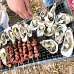 Thắng Cảnh Hoang Sơ Hấp Dẫn Tại Suối Đá Giăng Nha Trang