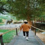 Suối Đá Hòn Giao – điểm dừng chân tại Khánh Hòa xóa tan nắng hè