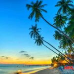 TOP 10++ Xe Limousine Sài Gòn đi Phan Thiết tốt nhất hiện nay | Đặt ngay | 19006772 – Megatravel – Hệ thống đặt tour và combo du lịch chất lượng cao