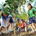 Các biện pháp giảm trừ hiệu ứng nhà kính