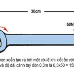 Momen xoắn là gì? công thức liên hệ giữa momen và công suất – XeÔTô 24