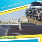 Xử lý khí thải chăn nuôi