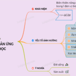 Lý thuyết Tốc độ phản ứng hóa học>