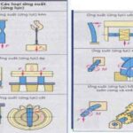 Momen Uốn Là Gì – Một Số Loại Ứng Suất Phổ Biến Trong Cơ Khí