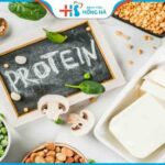 39+ thực phẩm giàu protein và ít calo cho người giảm cân