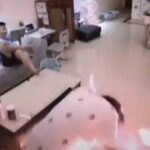 Người phụ nữ đang sấy tóc thì chiếc máy sấy bất ngờ phát nổ