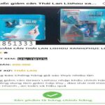 THUỐC GIẢM CÂN LISHOU XANH CHÍNH HÃNG 100%
