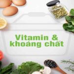 Bộ 3 cơ bản dinh dưỡng Herbalife (Bữa ăn lành mạnh F1, Bột Protein, Vitamin F2)