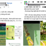 Nôn nóng giảm cân đón Tết, coi chừng ‘sập bẫy’ thuốc chứa chất cấm