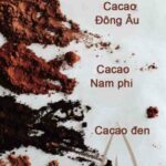 Review kẹo giảm cân Detoxeret Chokolade có tốt không? Câu chuyện giảm cân nhờ Detoxeret Chokolade Japan từ khách hàng