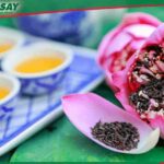 Máy sấy công nghiệp công suất lớn hiện đại nhất 2022
