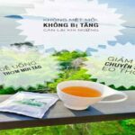 Trà Táo Xanh Giảm Cân Kelly Detox – Thảo Mộc ADELA, Thải Mỡ, Định Hình Eo – Naturix
