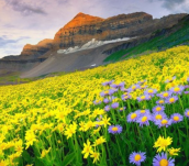 Các đồ dùng điện trong gia đình như quạt điện, máy bơm ...