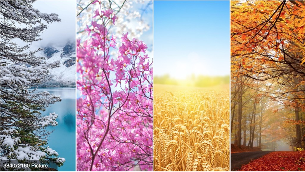 Chọn áo công sở theo mùa chọn áo công sở theo mùa