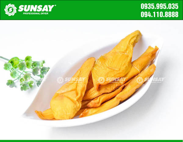 Xoài sấy dẻo bằng máy sấy lạnh